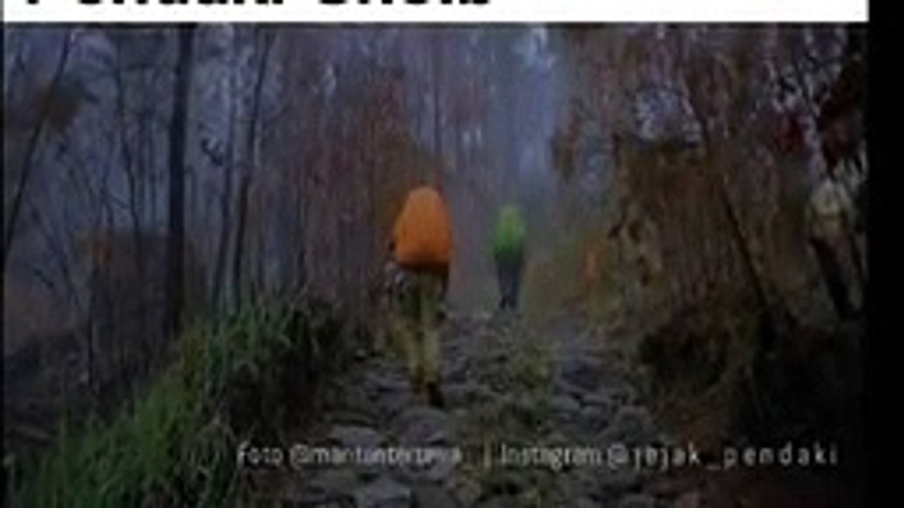 THE STORY OF LOST IN MOUNT ARJUNO AND HELPED BY GOIB CLIMBERS