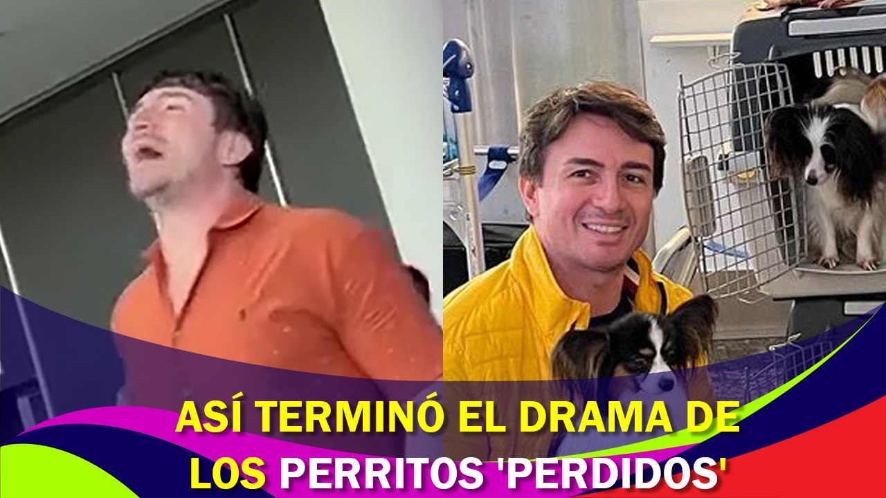 ¡Así terminó el drama de los perritos ‘perdidos’!