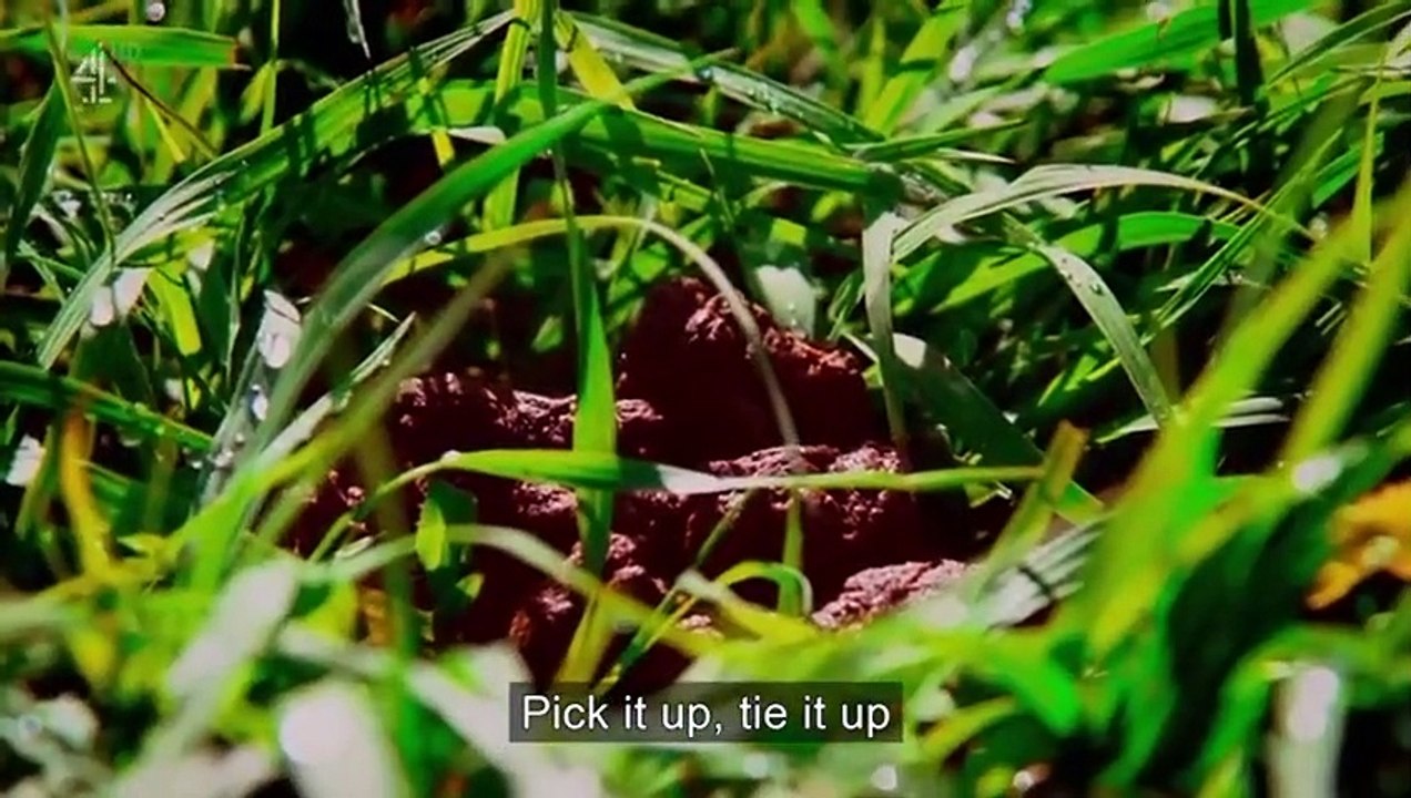 Banged Up - Teens Behind Bars - Se1 - Ep03 HD Watch