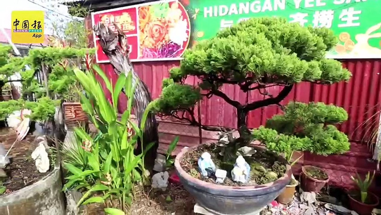 拱桥新村的老厝 中华文化 点缀     如意屋