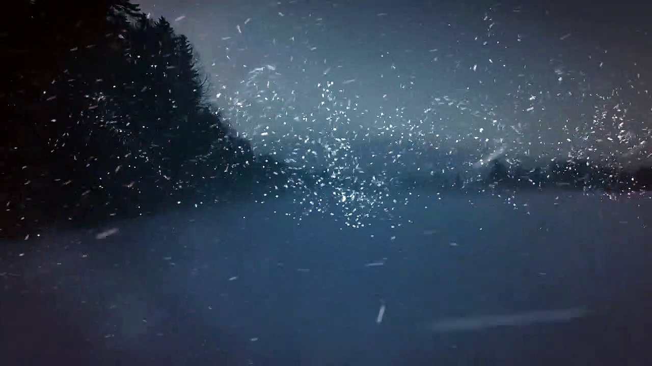 The Head Hunter | movie | 2019 | Official Trailer