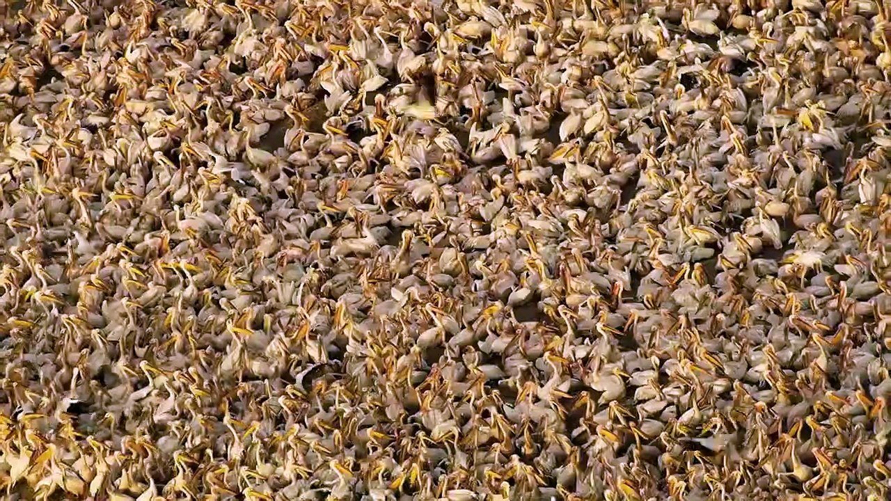 Legacy | movie | 2021 | Official Trailer