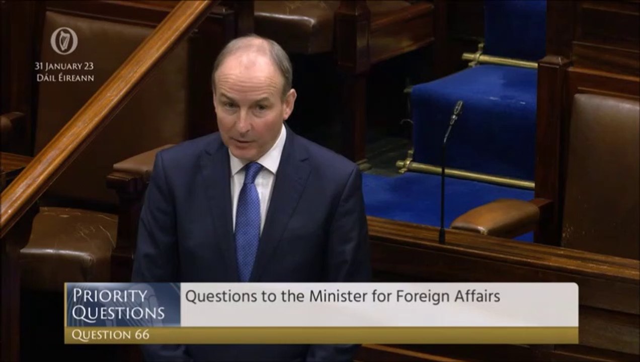 Tánaiste backs shared island unit as T.D. compares neglect of Derry to Waterford