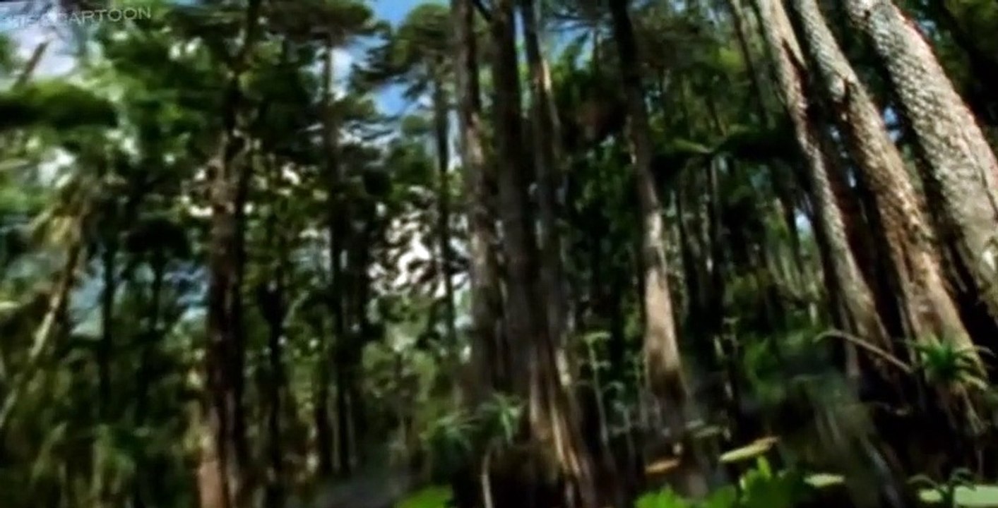 Prehistoric Park E005