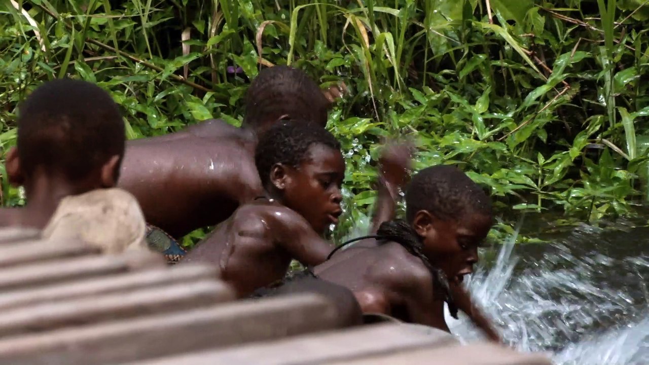 Song from the Forest (2014) | Official Trailer, Full Movie Stream Preview