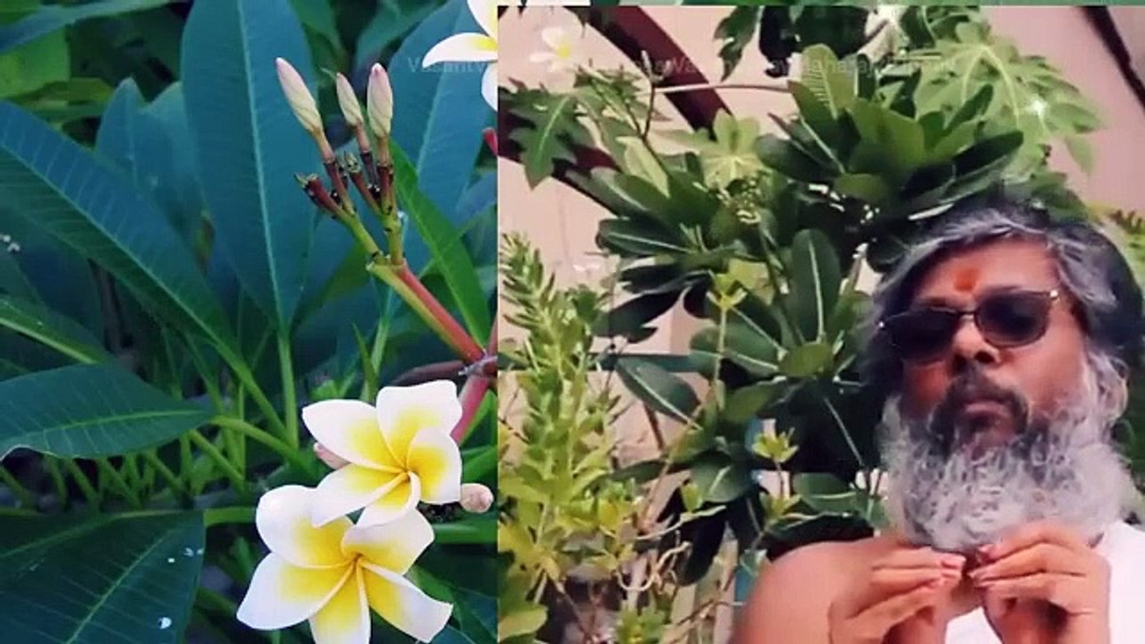 Keep saying this number in your mind, Very few people know this magic number| मन मे ये नम्बर बोलते रहिए | बहत कम लोग जानते है ये जादुई अंक |