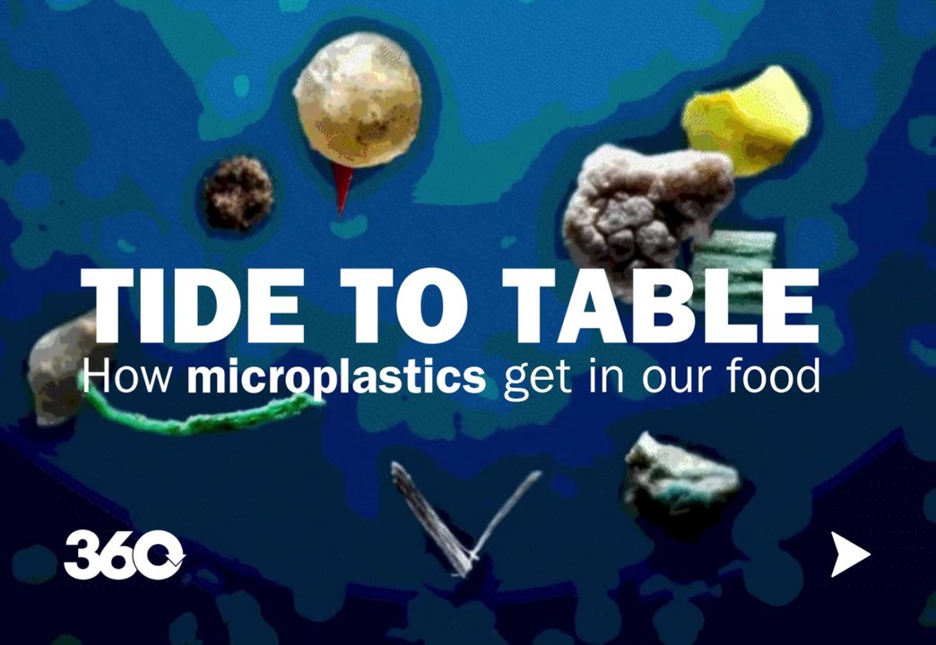 From tide to table: How microplastics end up in our food