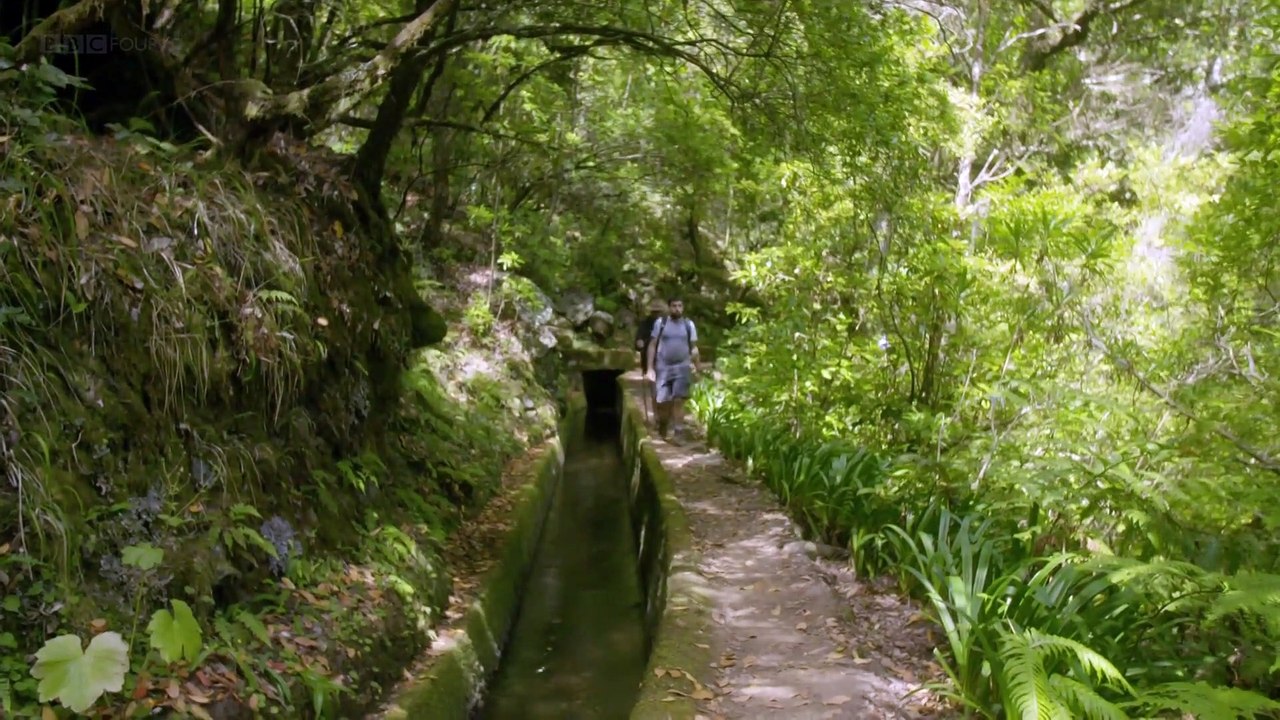 Evolution episode 3 - Madeira