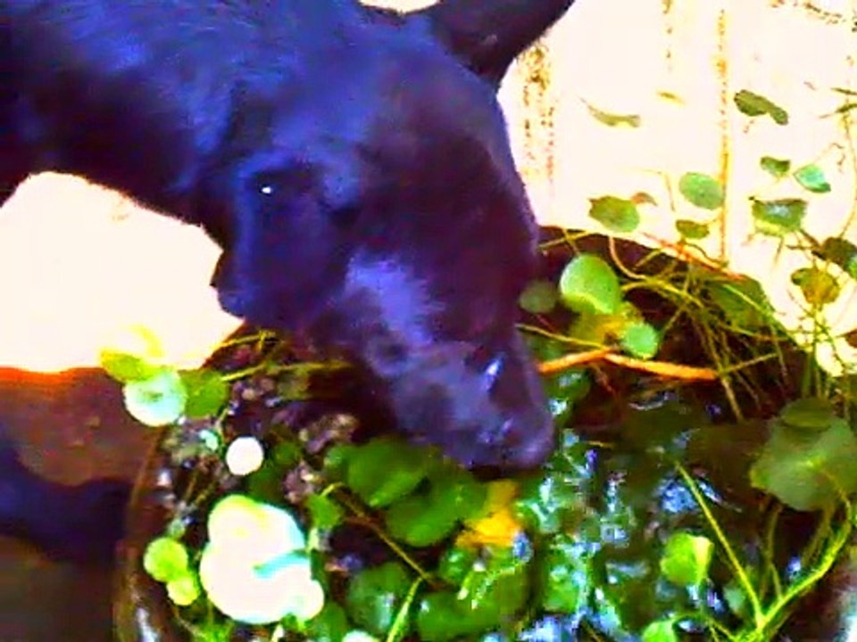 2019 | movie | 2019 | Official Clip