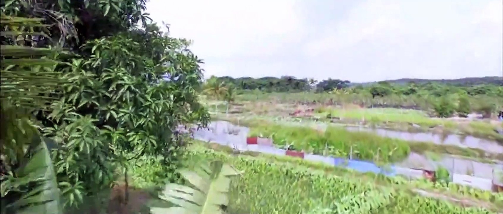 Long Long Time Ago (2016) Watch HD