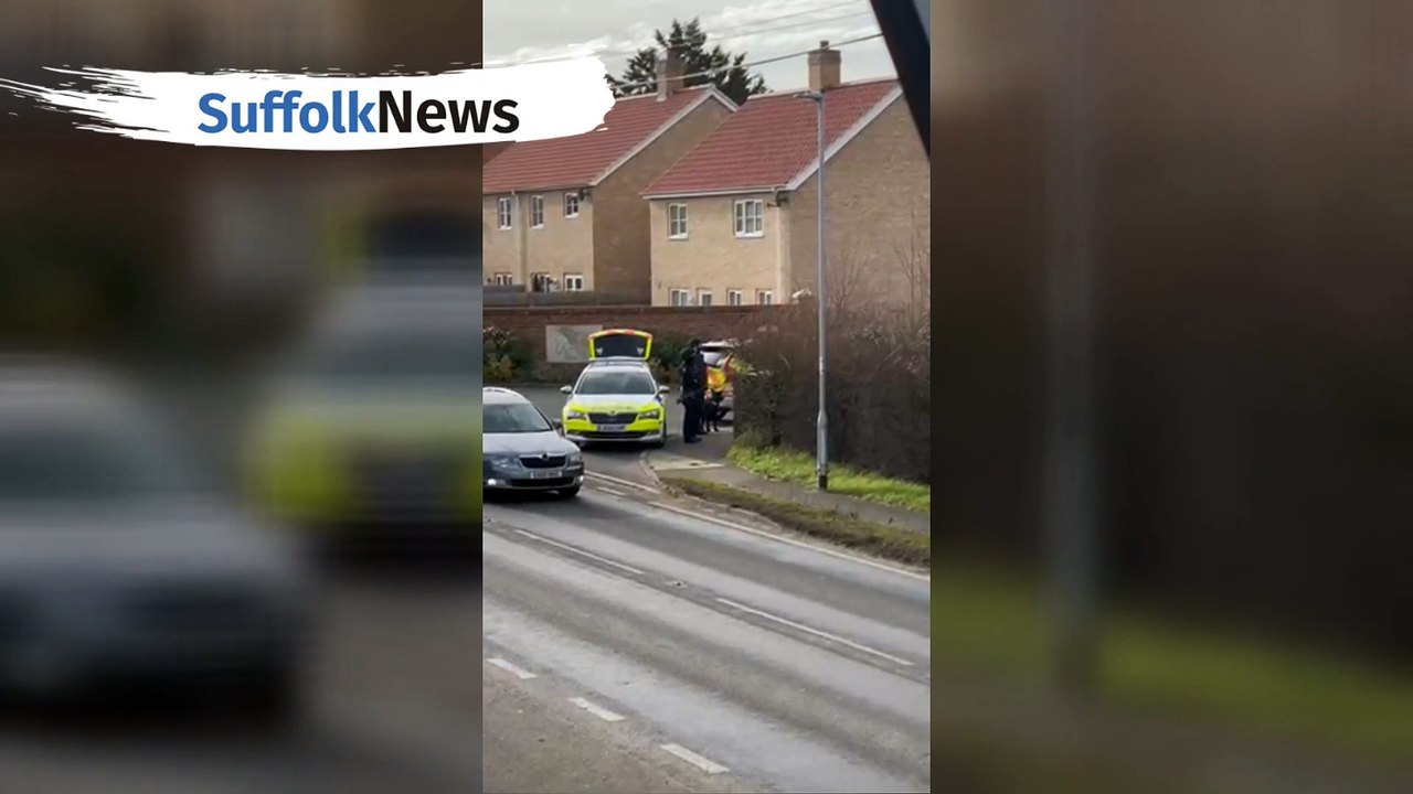 Armed police in Ingham