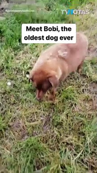 ¡ROMPIÓ UN RÉCORD! 