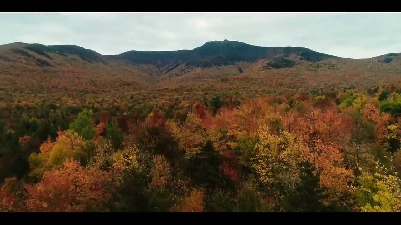 Paint | movie | 2023 | Official Trailer