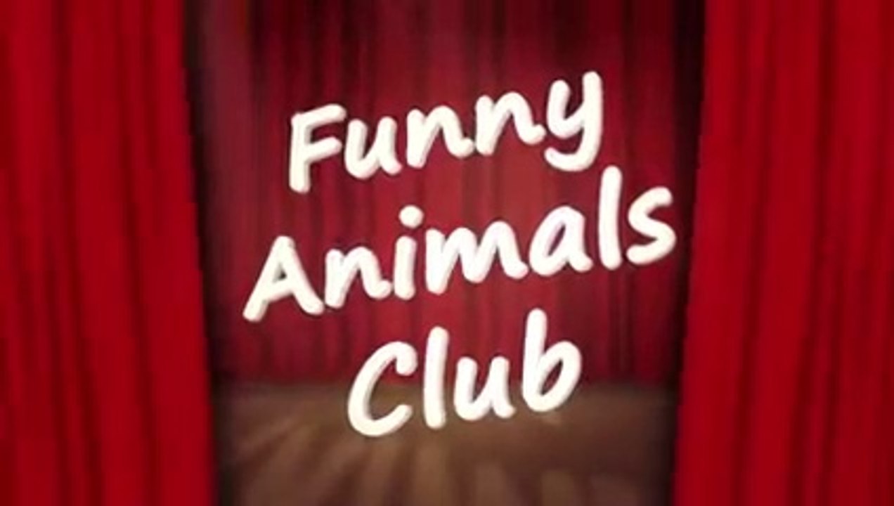 Funny Animal Videos 2023   Funniest Dogs And Cats Videos