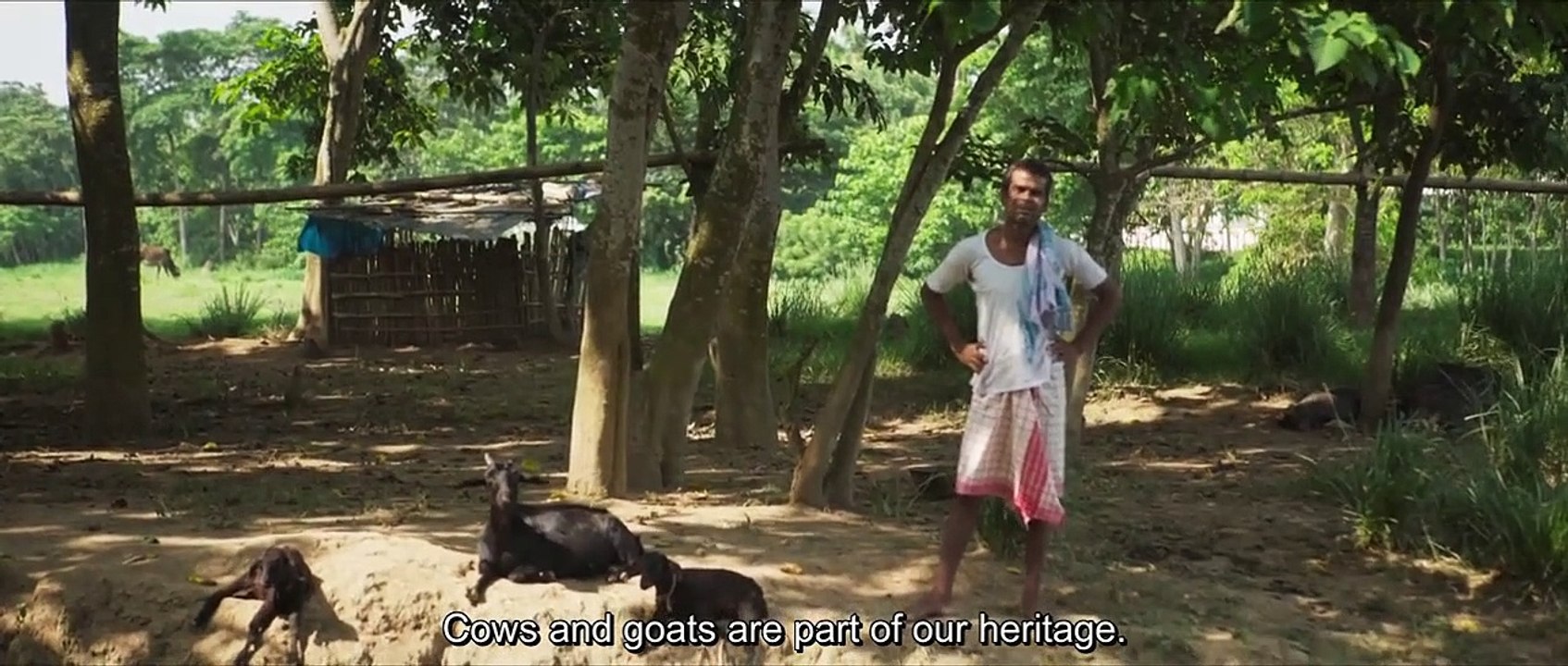 Bulbul Can Sing (2019) Watch HD