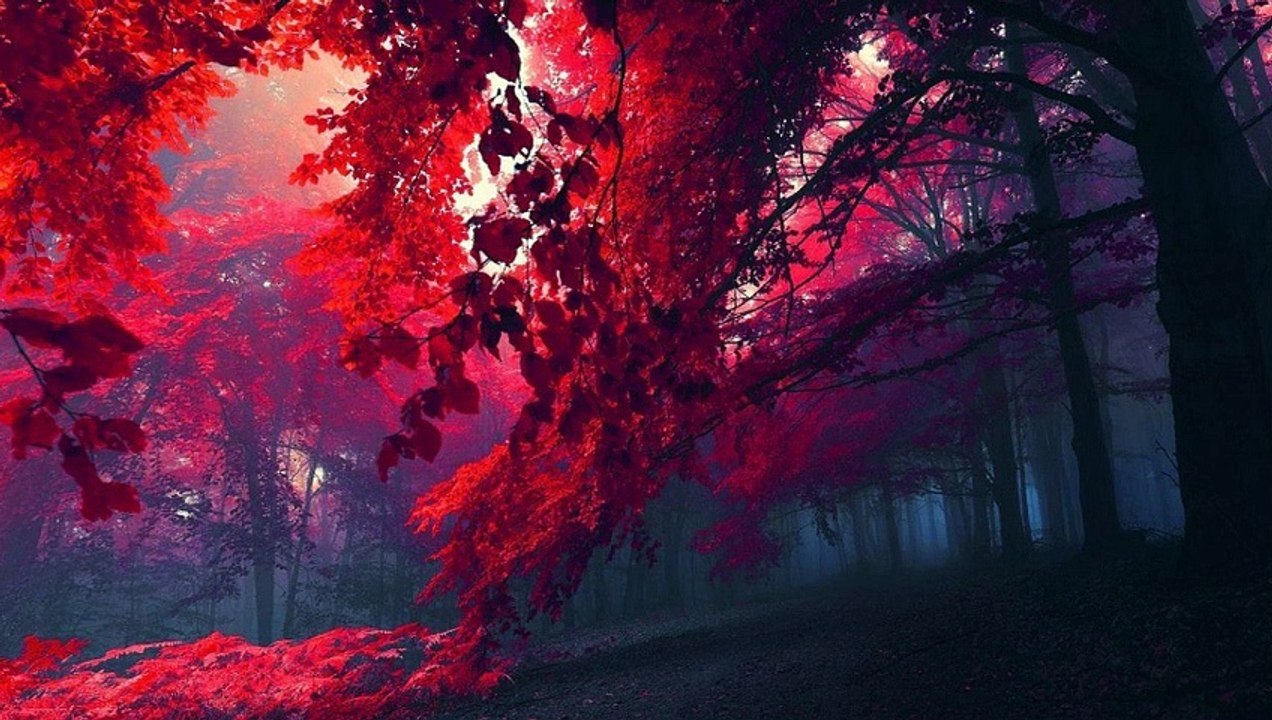 Lofi HipHop Instrumental Beats Part_50