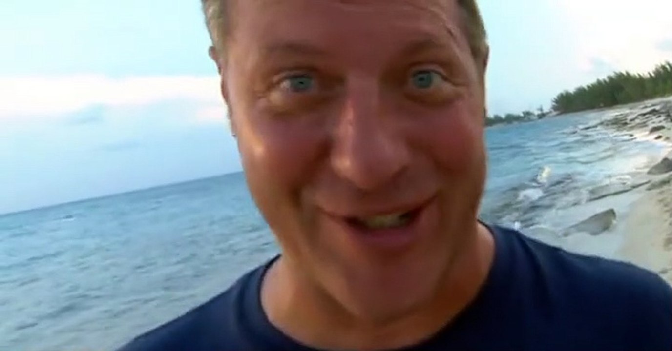 Wild Kratts Wild Kratts S02 E013 – Speaking Dolphinese