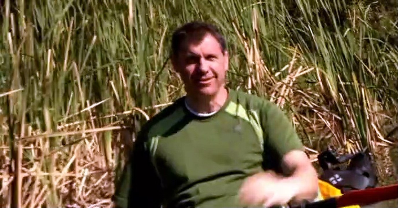 Wild Kratts Wild Kratts S03 E007 – Osprey