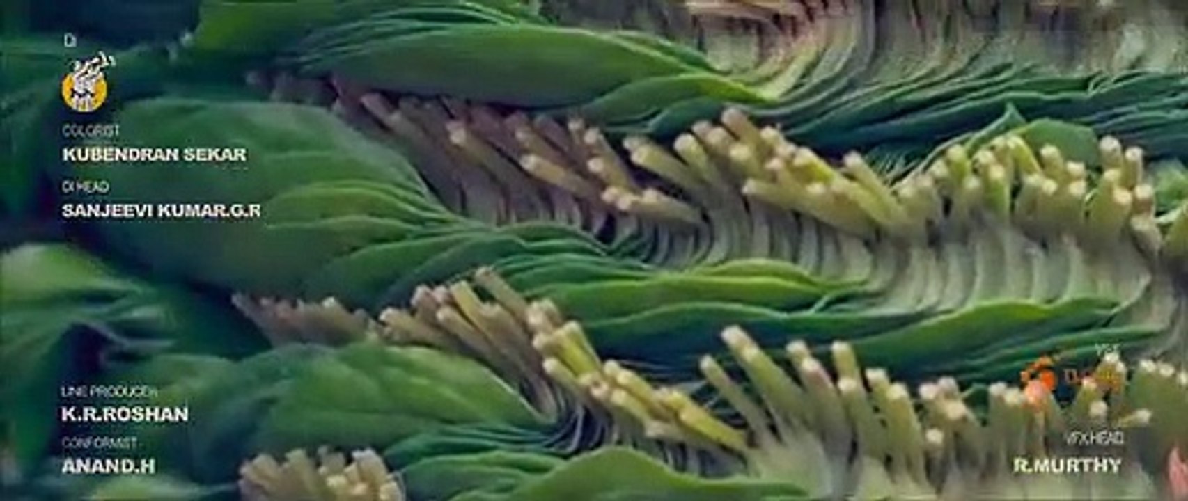 Pattathu Arasan 2022  Tamil HQ HDRip Movie Part 1 part 1/1