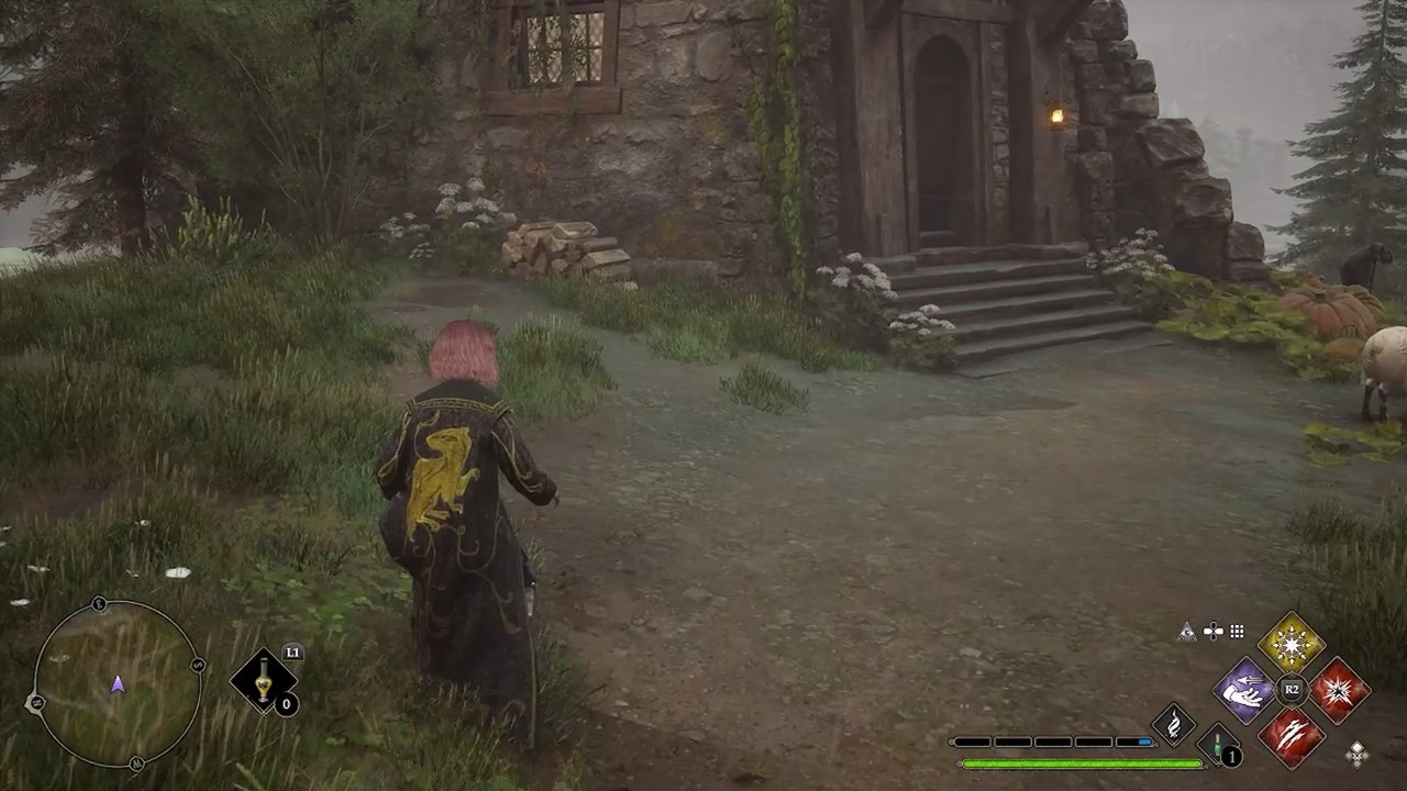 Cabane d'Hagrid Hogwarts Legacy : Où la trouver sur la carte ?