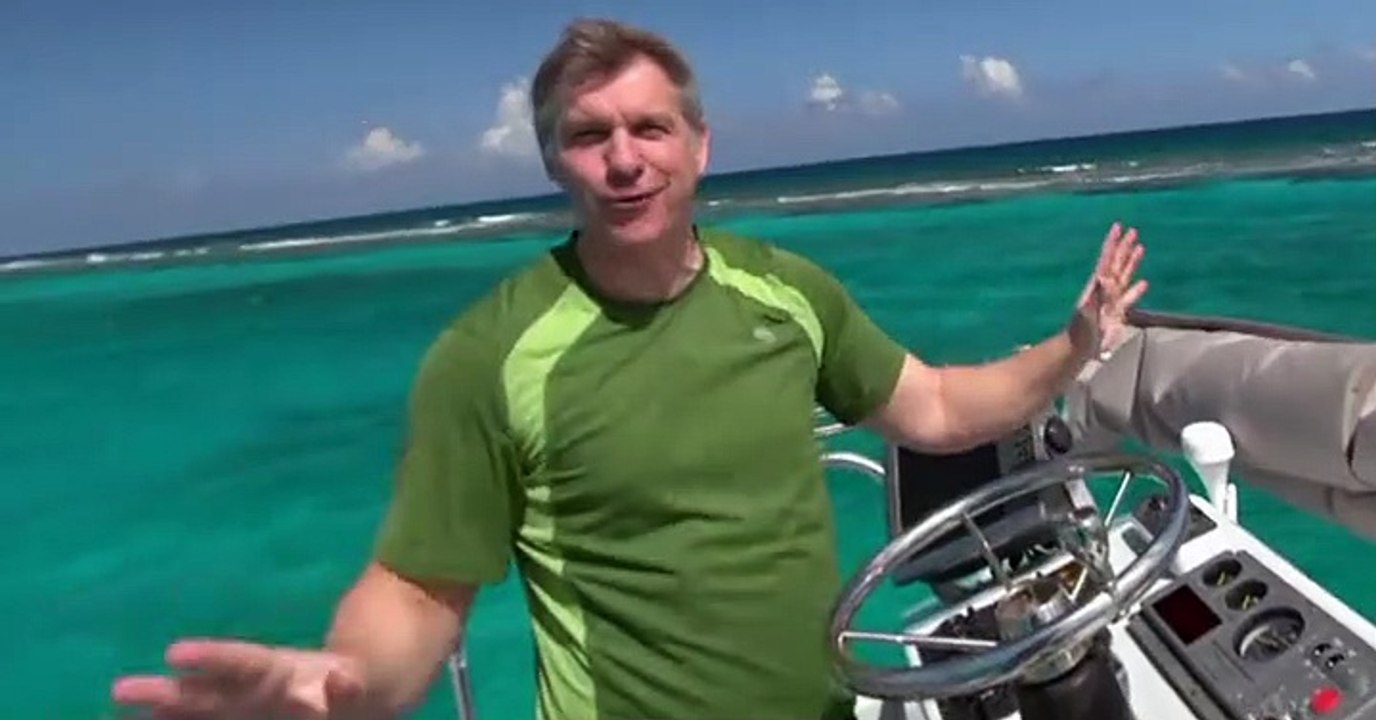 Wild Kratts Wild Kratts S06 E006 – Hammerheads