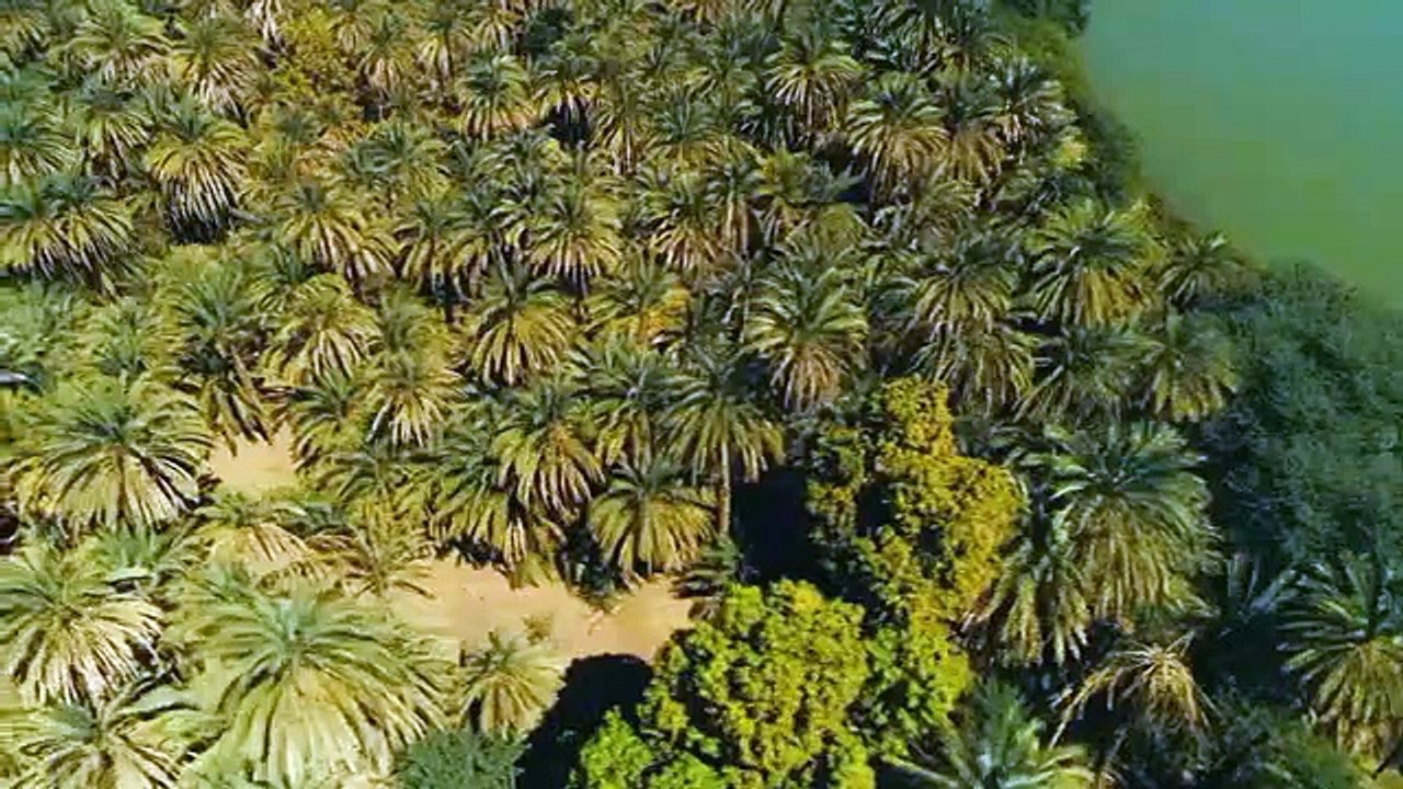 Lost Kingdom of the Black Pharaohs