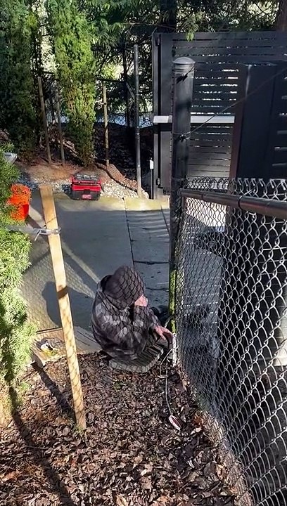 Creative Problem Solving At Work