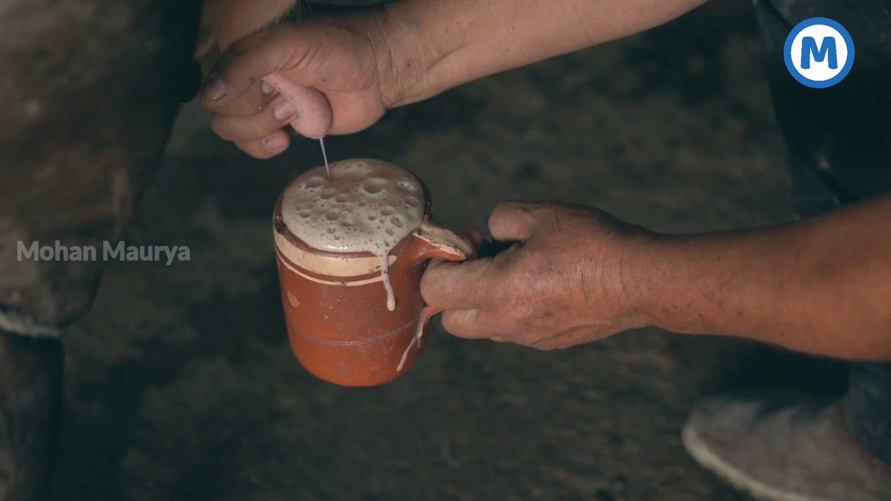 Hinduism and Science : Things you must know | Latest Video by Mohan Maurya