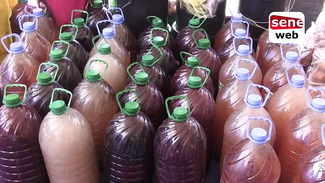 «le monde entier devrait rendre hommage à Sokhna Aida Diallo»D’âpres Serigne Saliou Samb