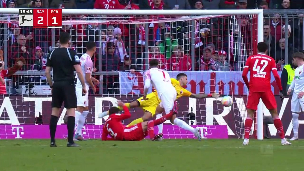 523869236983 B A Y  X  A U G   | H I G H L I G H T S