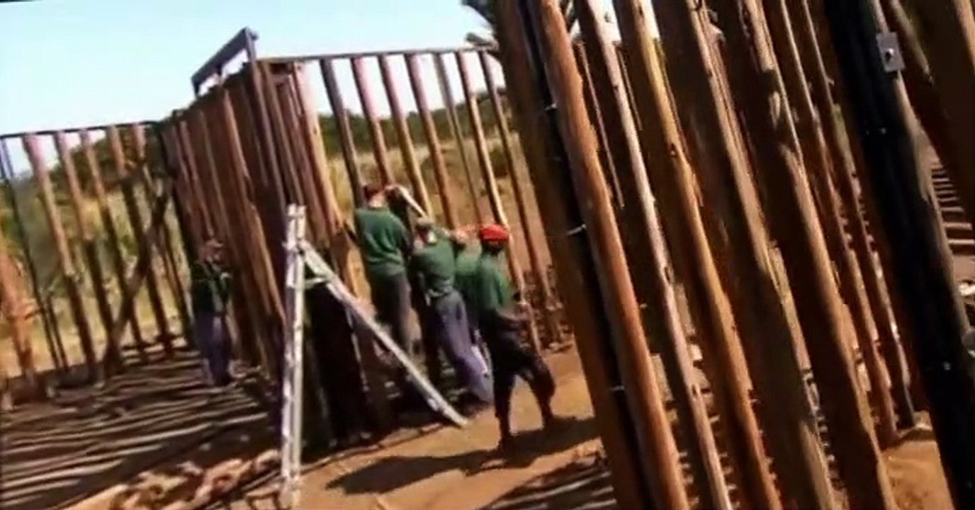 Prehistoric Park Prehistoric Park E001 T-Rex Returns