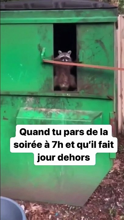 Quand tu sors de boite à 8h du matin