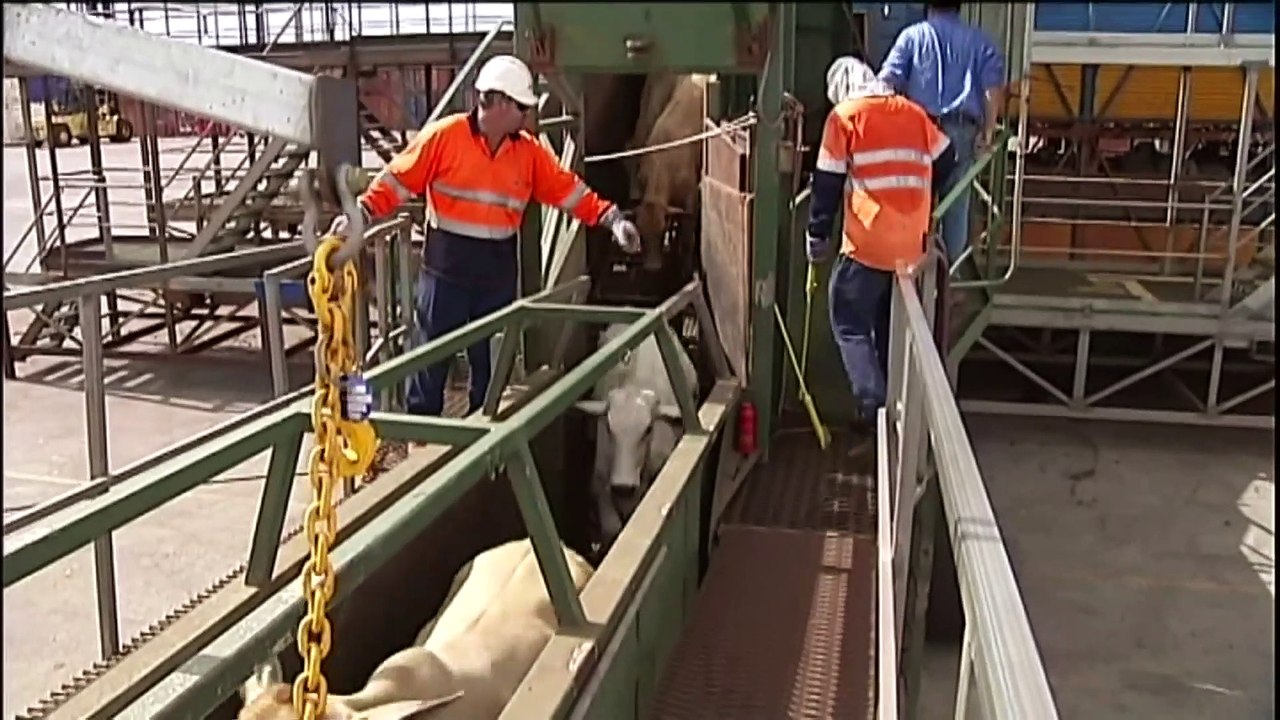 Federal Government accused of delayed compensation