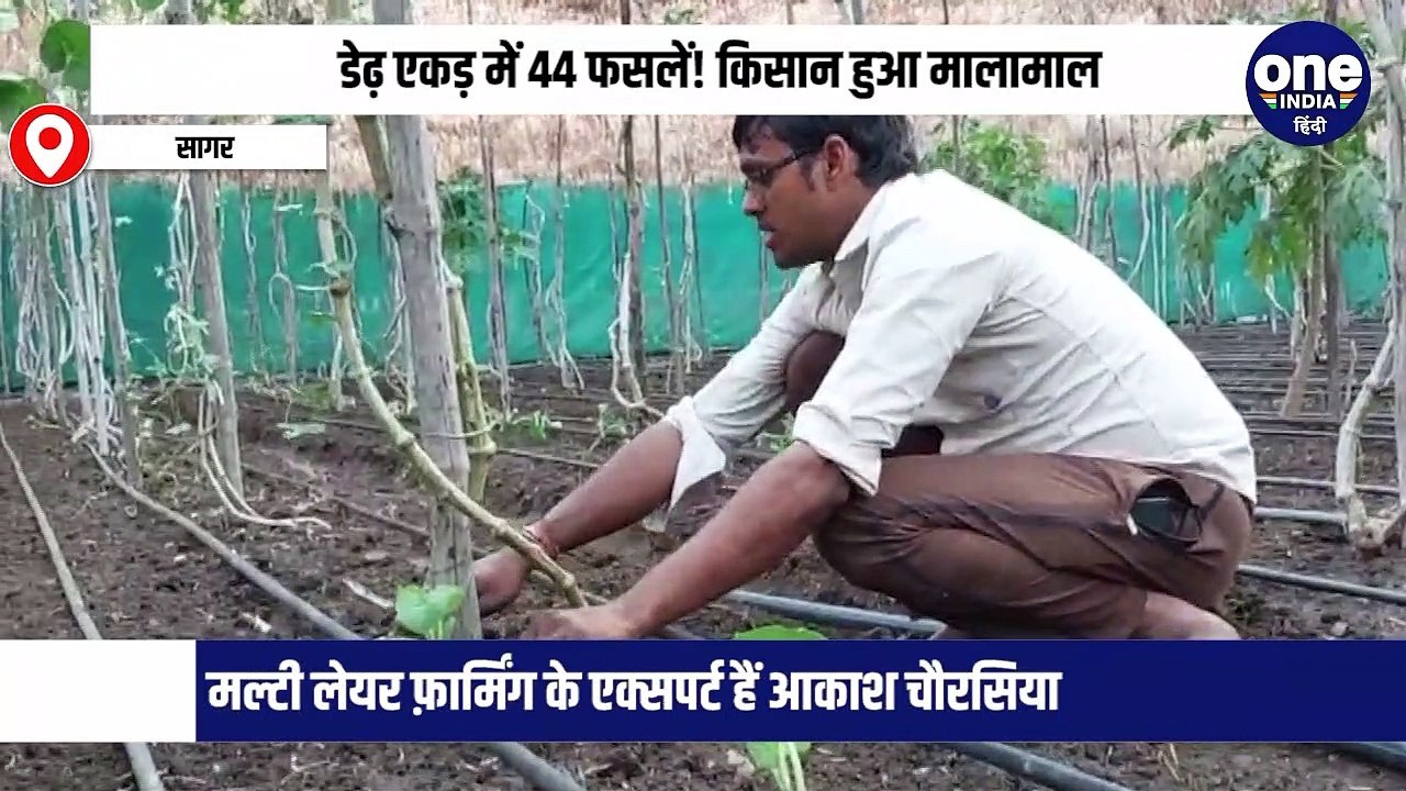 सागर के आकाश चौरसिया ने मल्टी लेयर में खेत में लगाई 44 किस्म की फसलें