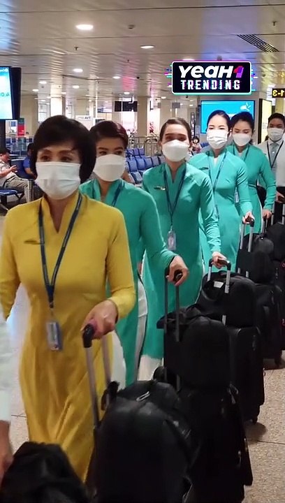 Một mức lương biết bao nhiêu người mơ ước #tiepvienhangkhong #vietnamairlines #luong #vietjet #bambooairways #pacific