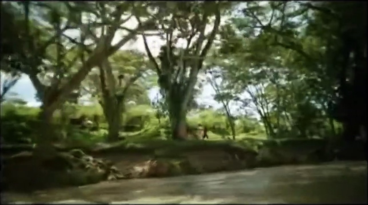 Gracias Ejercito Nacional