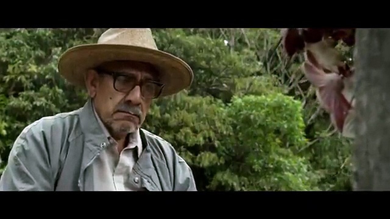 I Dream in Another Language (2017) Watch HD