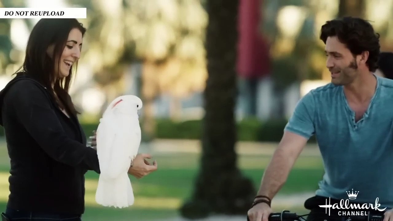 Hallmark Romance Movies - New Hallmark Romantic Movies