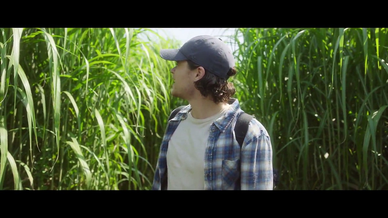 In the Tall Grass (2019) Watch HD