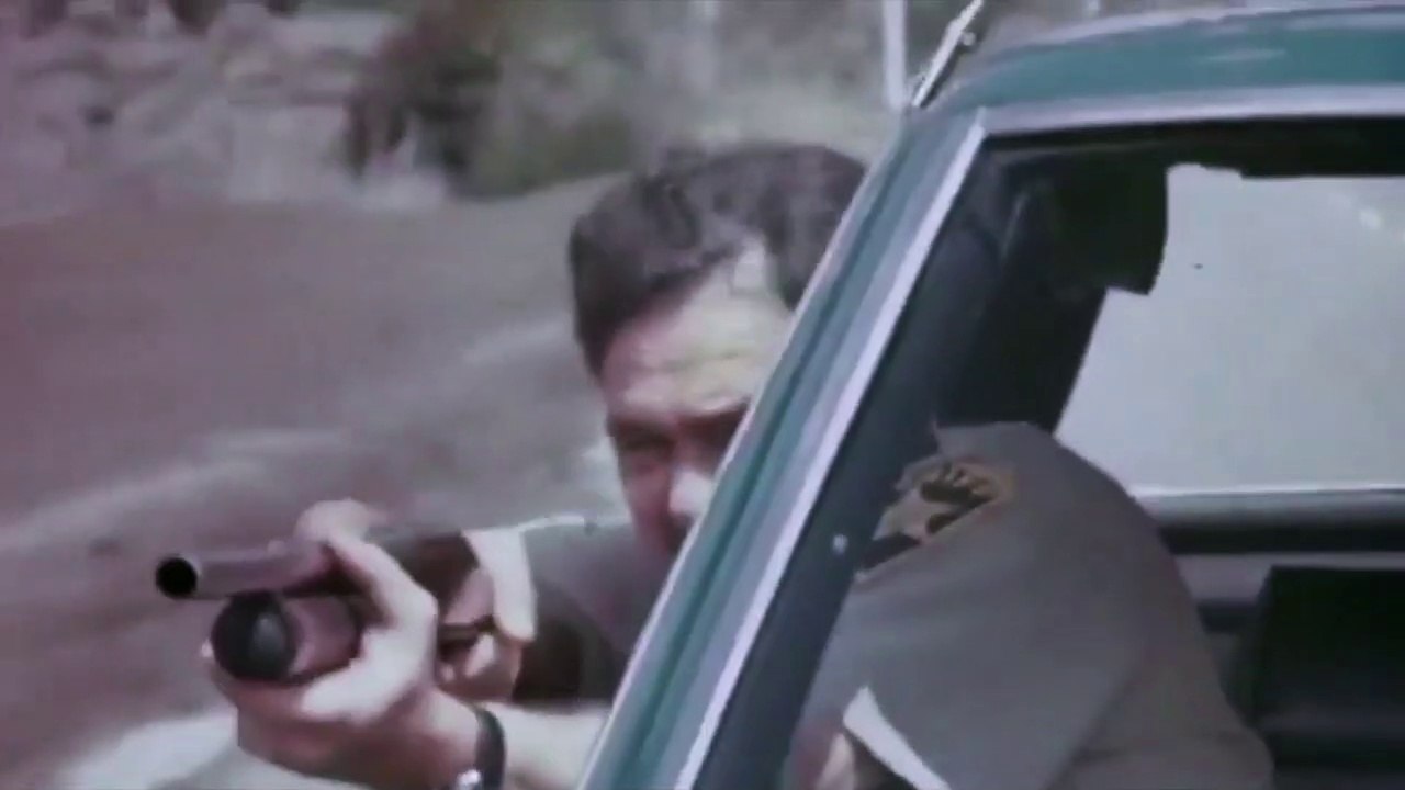 EXPLOITATION SAGA (1970-1983) 40 Bandes Annonce