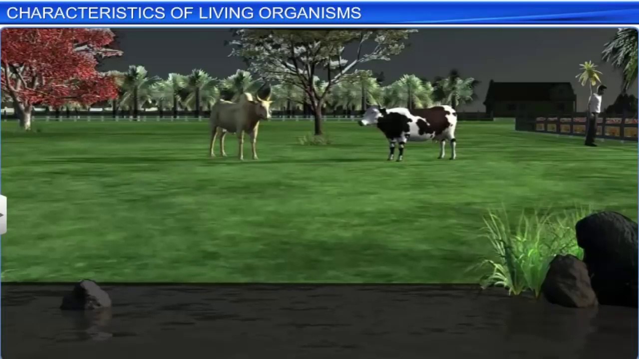 1.Characteristics of living organism