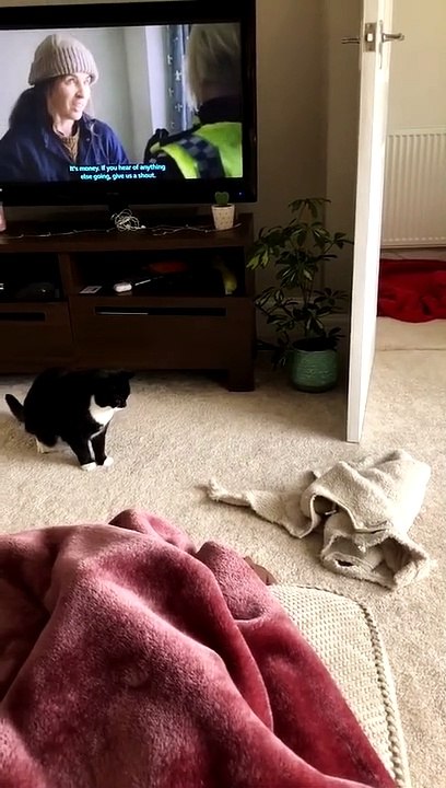 Clementine The Protector