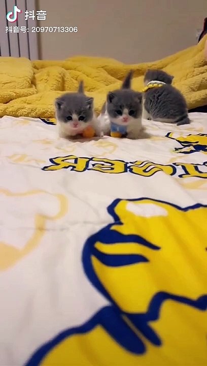 tiktok songs,best tiktok songs,tiktok songs 2023,tiktok viral songs,tiktok songs latest,best