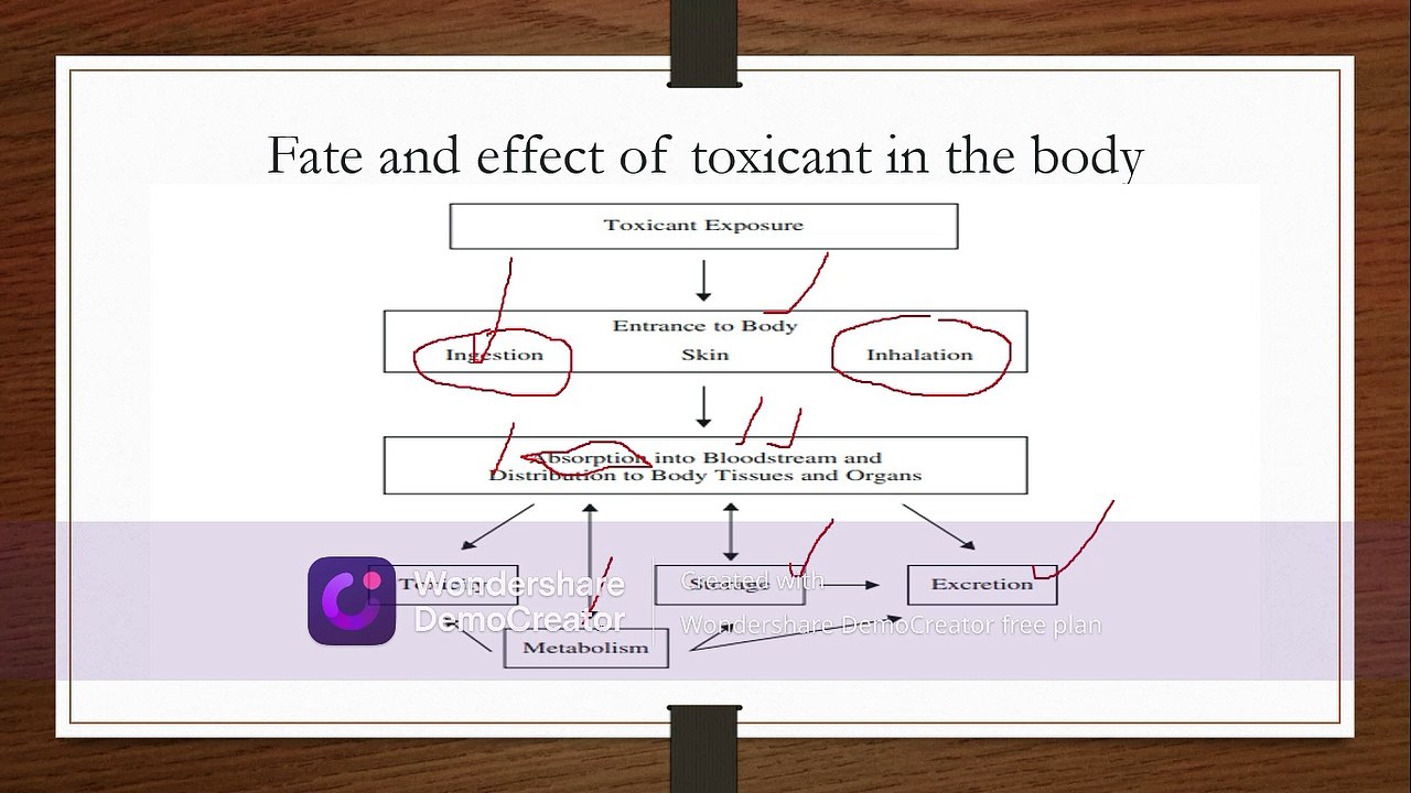 introduction to toxicology
