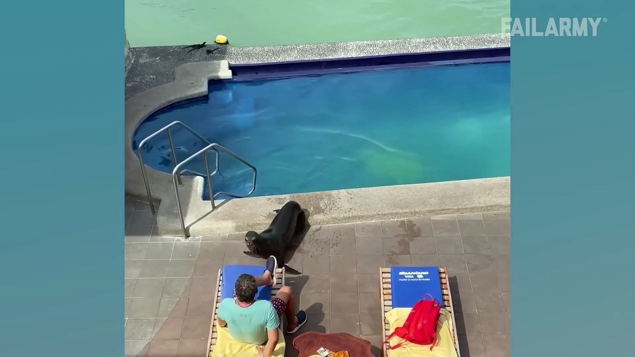 You Wouldn't Believe It! Unexpected Fails Compilation