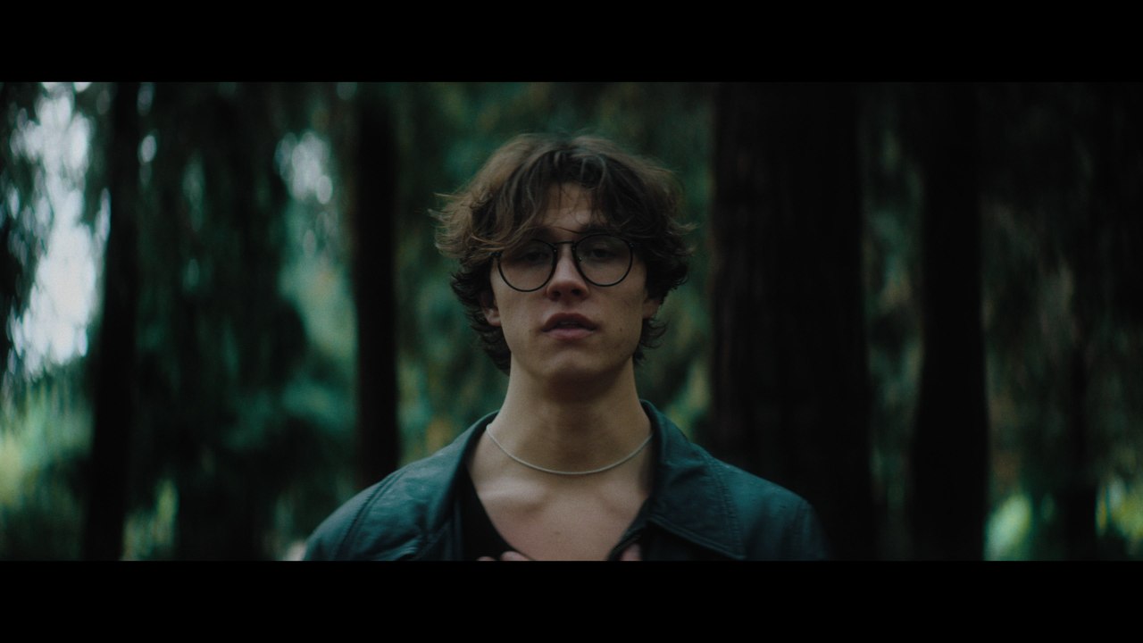 David Kushner - Daylight