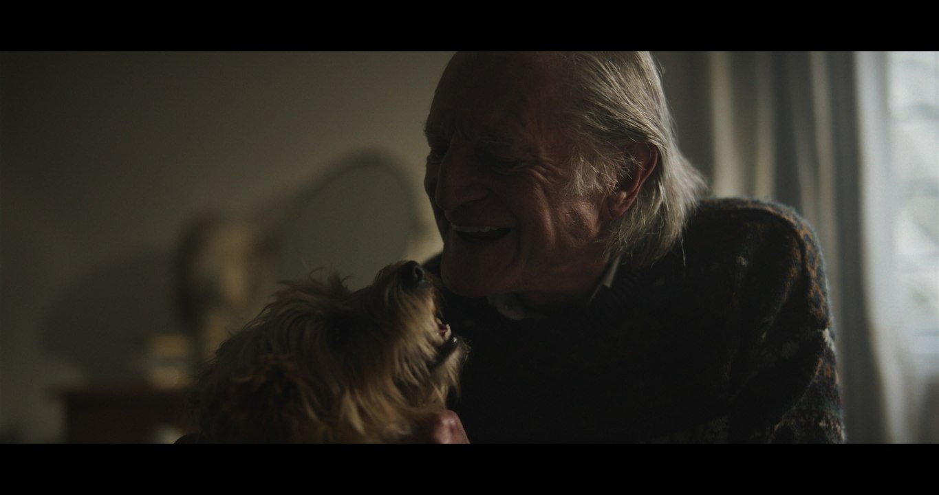 Lewis Capaldi - Wish You The Best