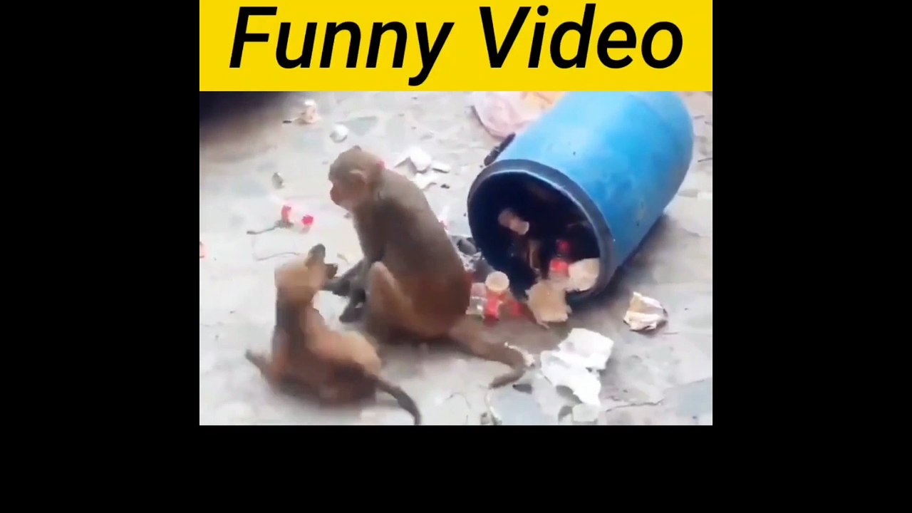 Funny Videos#videos Funny#