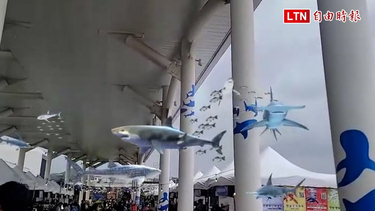 超炫！基隆海景第一排「甲板派對」 鯨魚在身邊優游