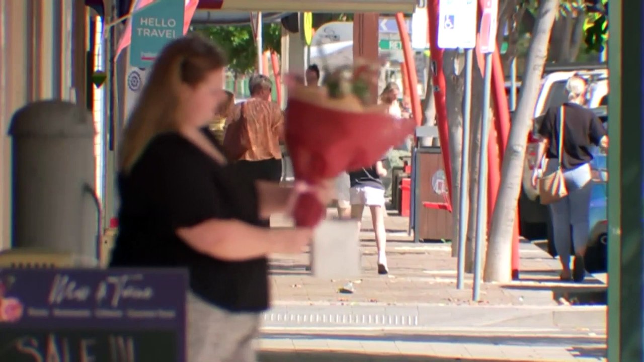 Liddell power station to be replaced with 500MW battery